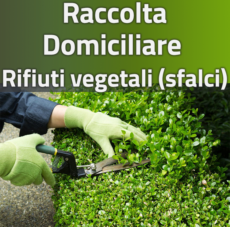 Raccolta Domiciliare Rifiuti vegetali (sfalci)